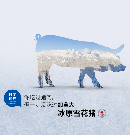hylife冰原雪花猪品牌全案服务